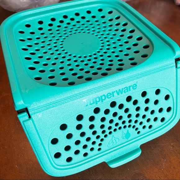 Tupperware Garlic N All Keeper 2.3L - Picture 2 of 10